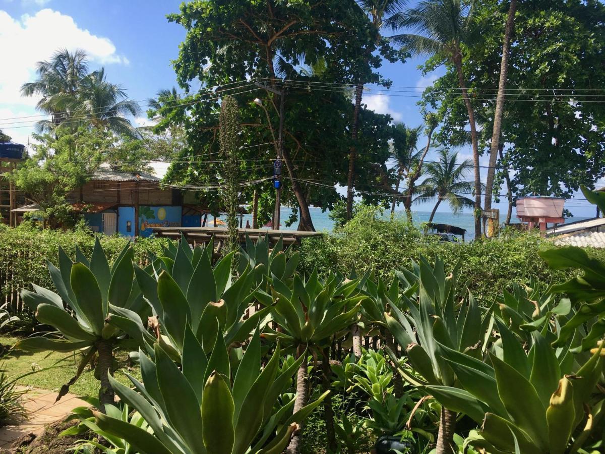 Apartament Concha Tropical Flat Itacaré Zewnętrze zdjęcie
